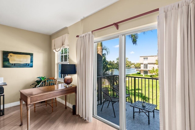 doorway with a water view and light hardwood / wood-style floors