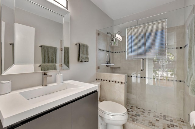 bathroom with vanity, an enclosed shower, and toilet