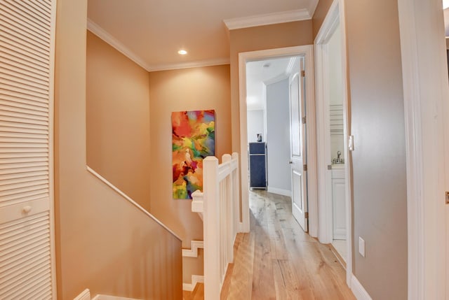 corridor with ornamental molding and light hardwood / wood-style flooring