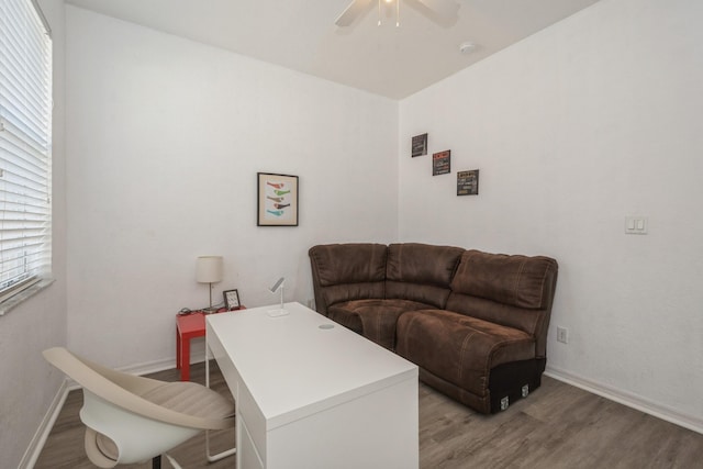 office space with hardwood / wood-style flooring and ceiling fan