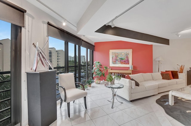 living room with rail lighting