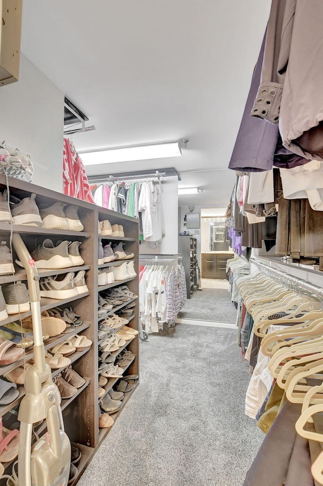 walk in closet featuring light carpet