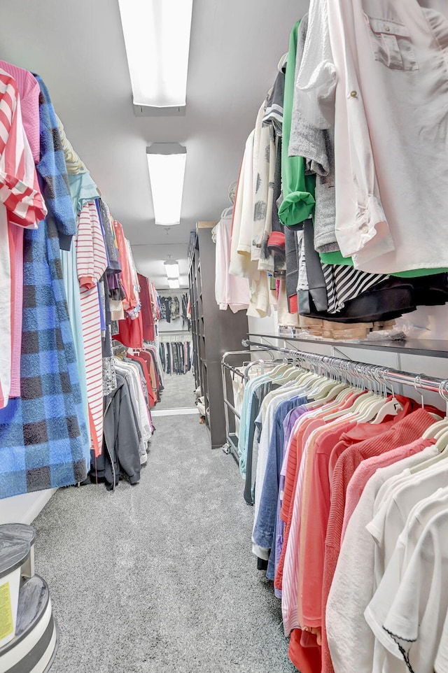 spacious closet with carpet