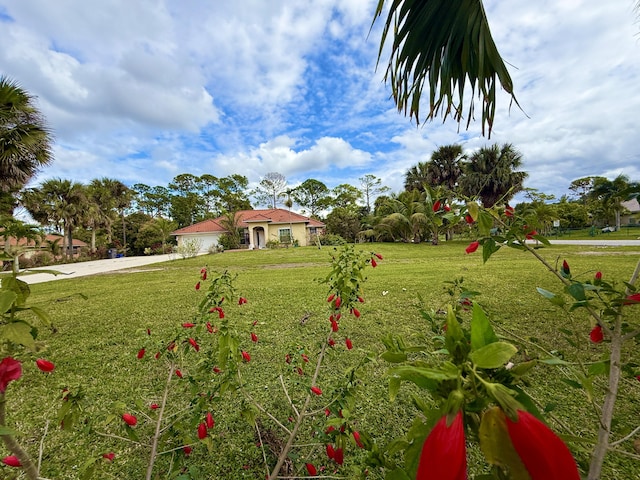 view of yard