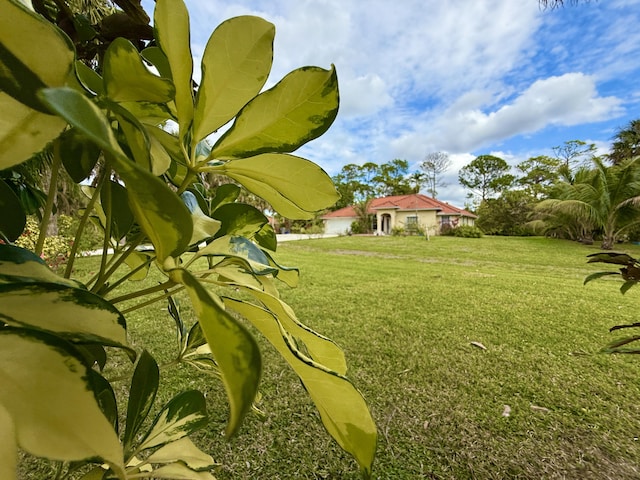 view of yard