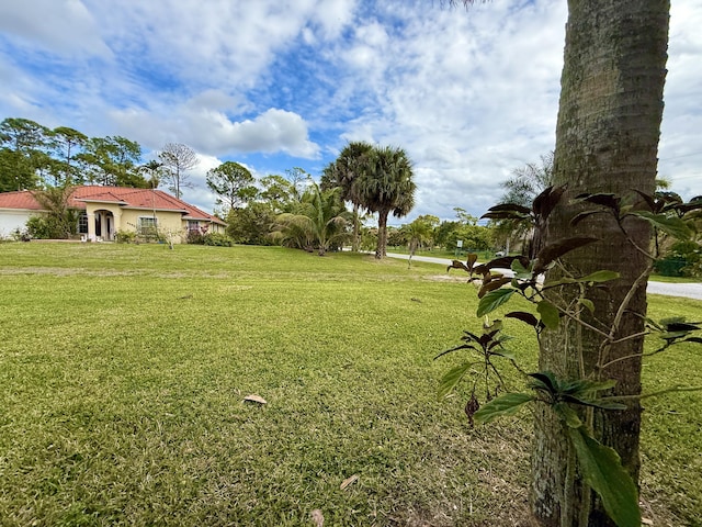 view of yard