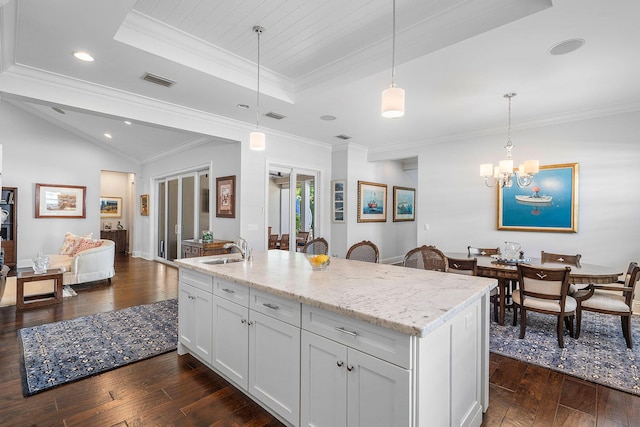 kitchen featuring dark wood-style floors, a raised ceiling, a sink, and visible vents