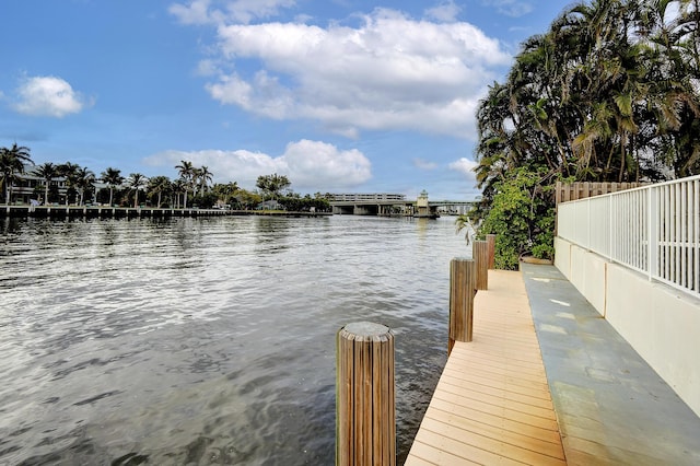 dock area with a water view