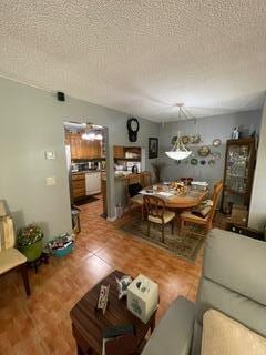 living room featuring a textured ceiling