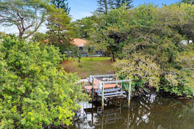 dock area with a water view