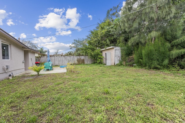 view of yard featuring a patio area and a shed