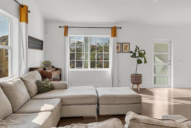 living room with wood-type flooring