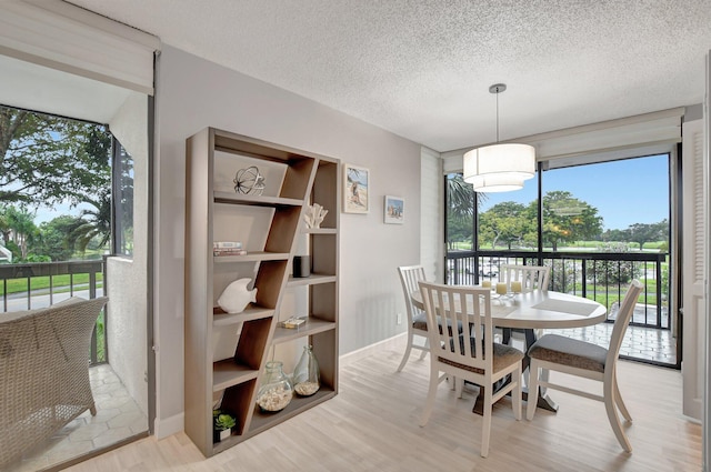 dining area with light hardwood / wood-style floors, a textured ceiling, and a healthy amount of sunlight