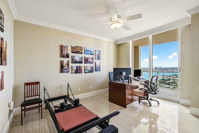 office space featuring ceiling fan and ornamental molding