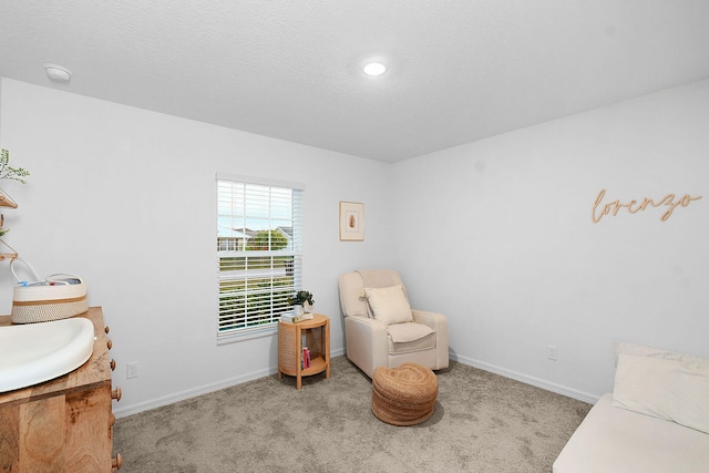 living area featuring light colored carpet and sink