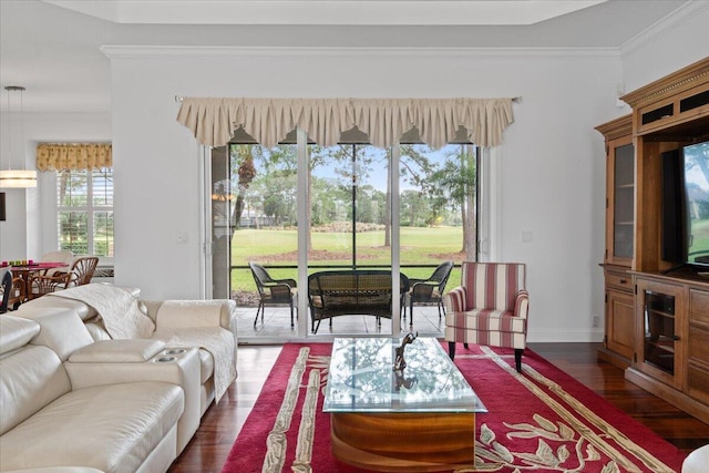 living room featuring dark hardwood / wood-style flooring and crown molding