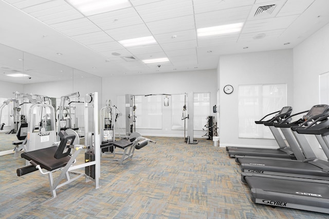 gym with a paneled ceiling, a high ceiling, and carpet flooring