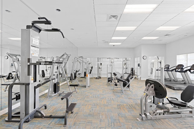 workout area featuring carpet and a drop ceiling