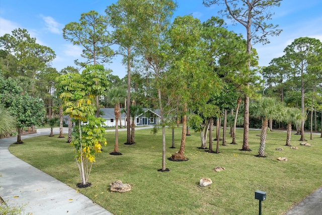 view of community with a lawn