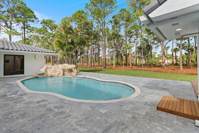 view of swimming pool with a patio area