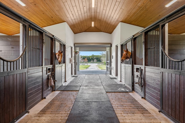 view of horse barn