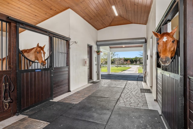 view of horse barn