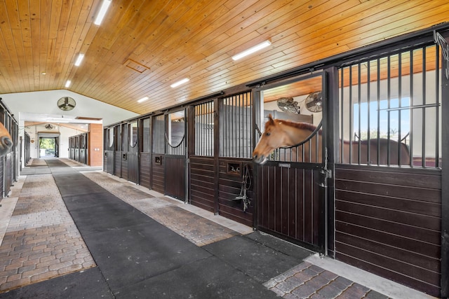 view of horse barn