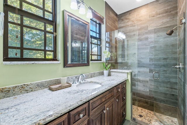 bathroom with vanity, a healthy amount of sunlight, and a shower with shower door