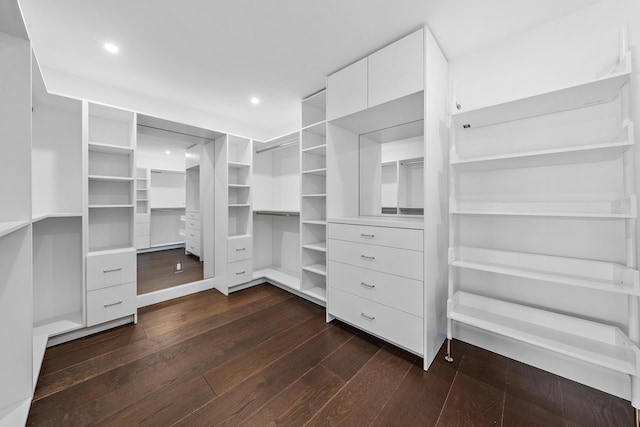 walk in closet featuring dark hardwood / wood-style floors