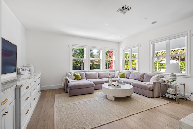 living room with light hardwood / wood-style flooring