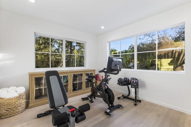 workout room with a healthy amount of sunlight and wood-type flooring