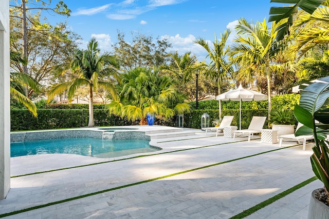 view of swimming pool with an in ground hot tub and a patio