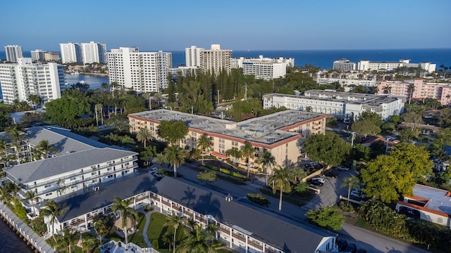 drone / aerial view with a water view