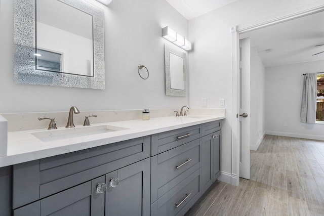 bathroom with hardwood / wood-style flooring and vanity