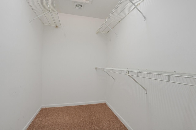 walk in closet featuring carpet floors