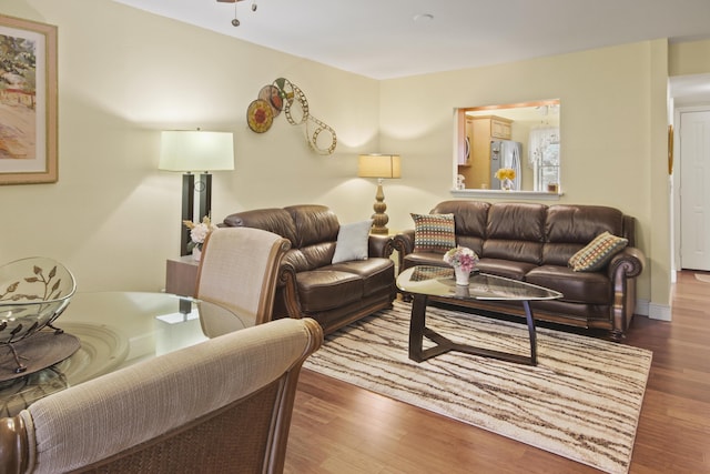 living room featuring dark hardwood / wood-style flooring