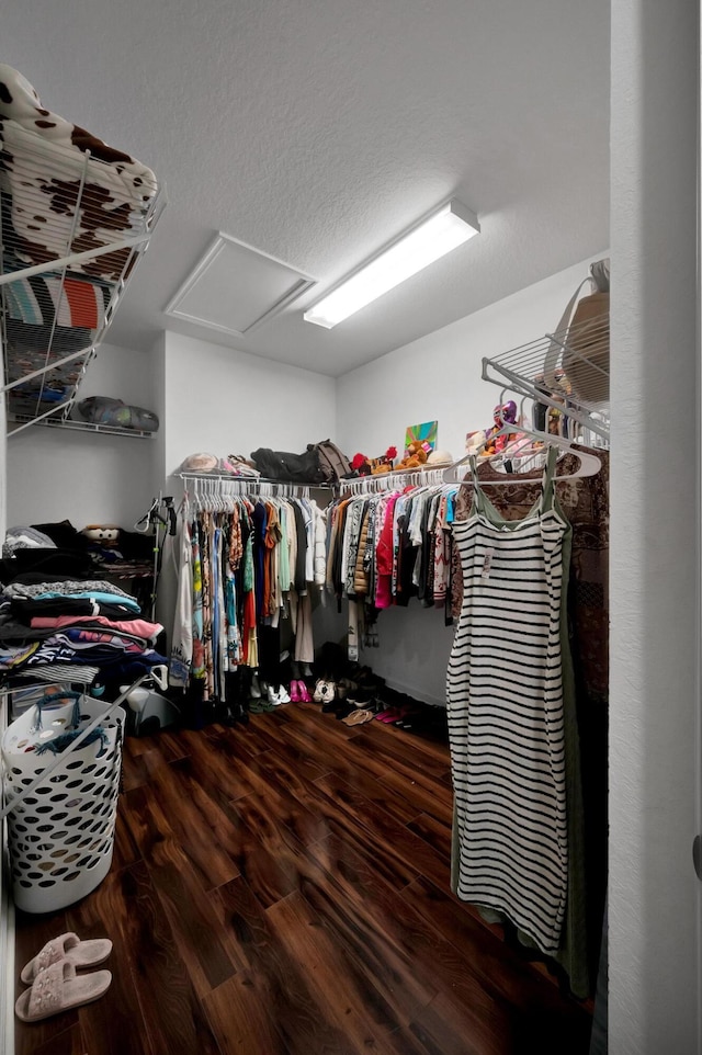 walk in closet featuring hardwood / wood-style floors