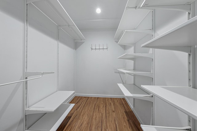 spacious closet with dark wood-type flooring