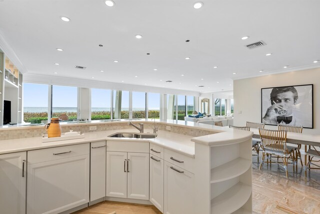 living room with a healthy amount of sunlight and built in features