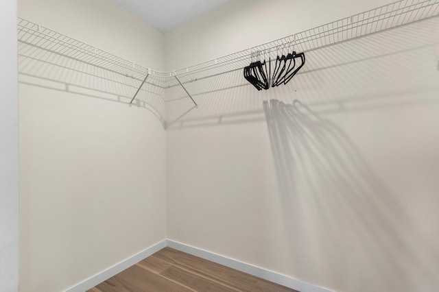 walk in closet with hardwood / wood-style floors