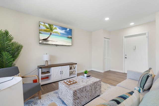 living room featuring hardwood / wood-style floors