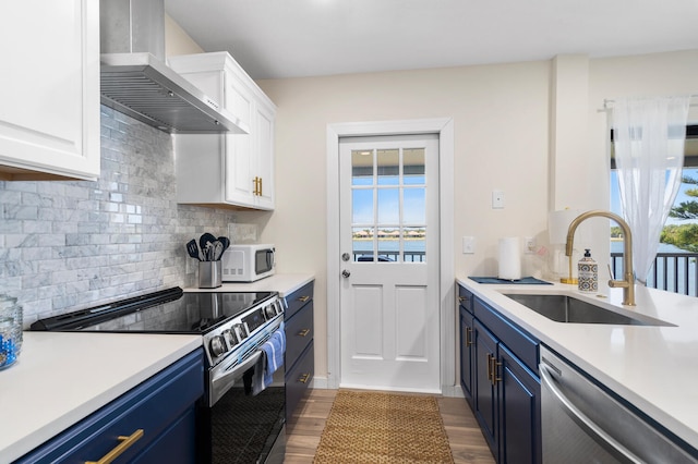 kitchen with white cabinets, sink, wall chimney range hood, and stainless steel appliances