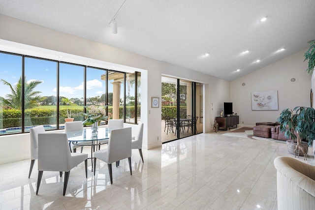 dining room with vaulted ceiling, plenty of natural light, and a textured ceiling