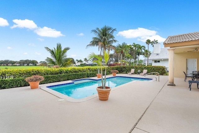 view of pool featuring a patio