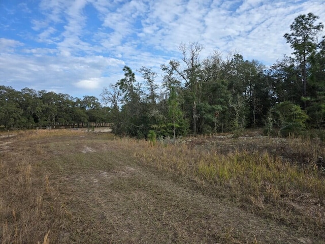 0 SW 90th Pl, Dunnellon FL, 34432 land for sale