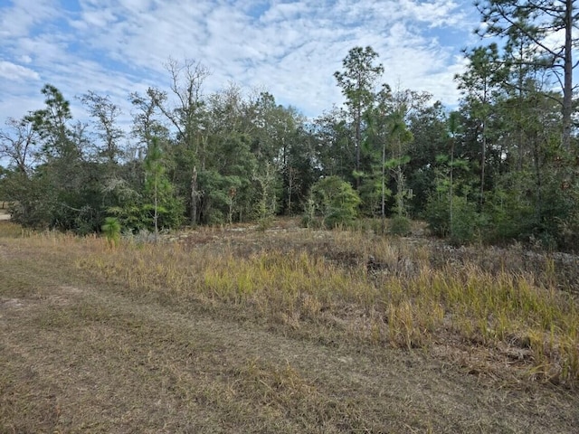 Listing photo 2 for 0 SW 90th Pl, Dunnellon FL 34432