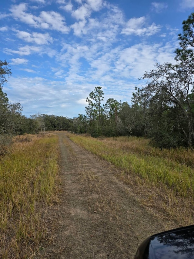 Listing photo 3 for 0 SW 90th Pl, Dunnellon FL 34432