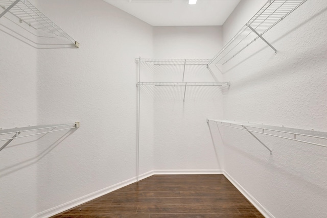 spacious closet with dark hardwood / wood-style flooring