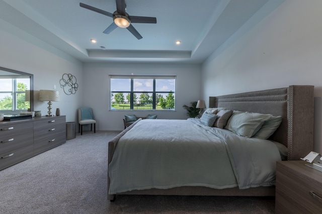 bedroom with ceiling fan, multiple windows, a tray ceiling, and carpet flooring