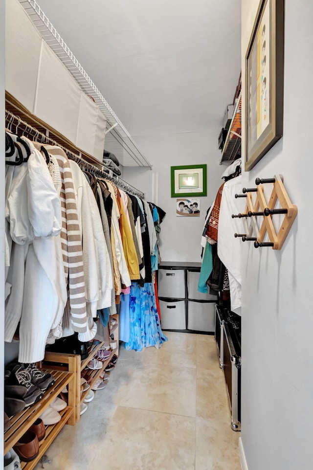 view of spacious closet